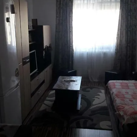 Babuinul Apartment Mangalia
