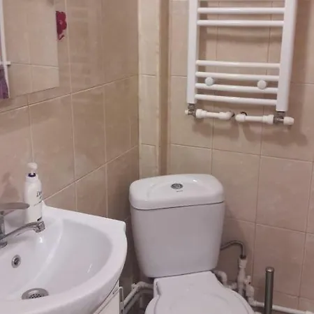 Babuinul Apartment *