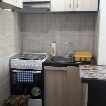 Babuinul Apartment *